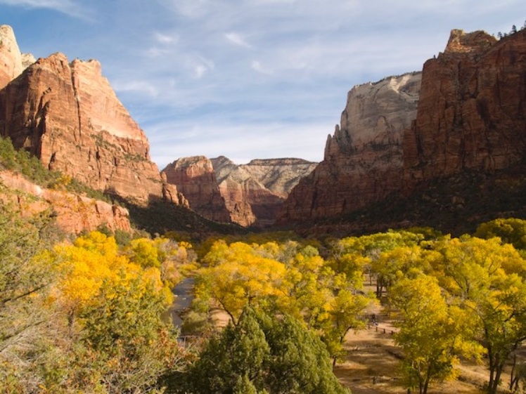 Zion Canyon with cottonwood foliage in the foreground