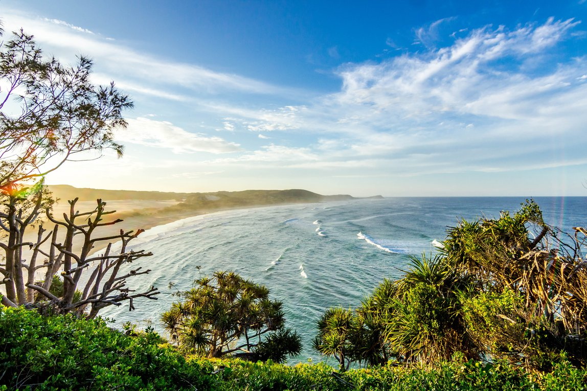 South Australia coastline with trees in the foreground. 