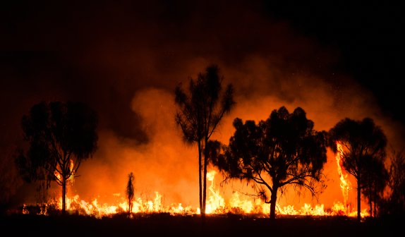 Large range and yellow flames rip through a silhouetted forest at night.