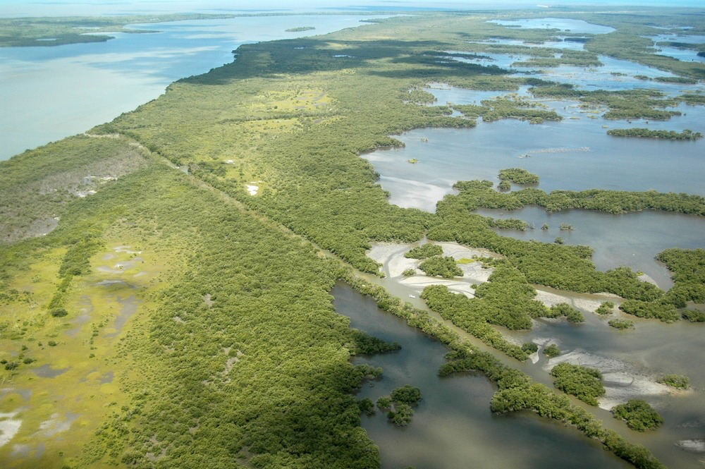 An aerial view of green coastal lowlands surrounded by water in Everglades National Park. 
