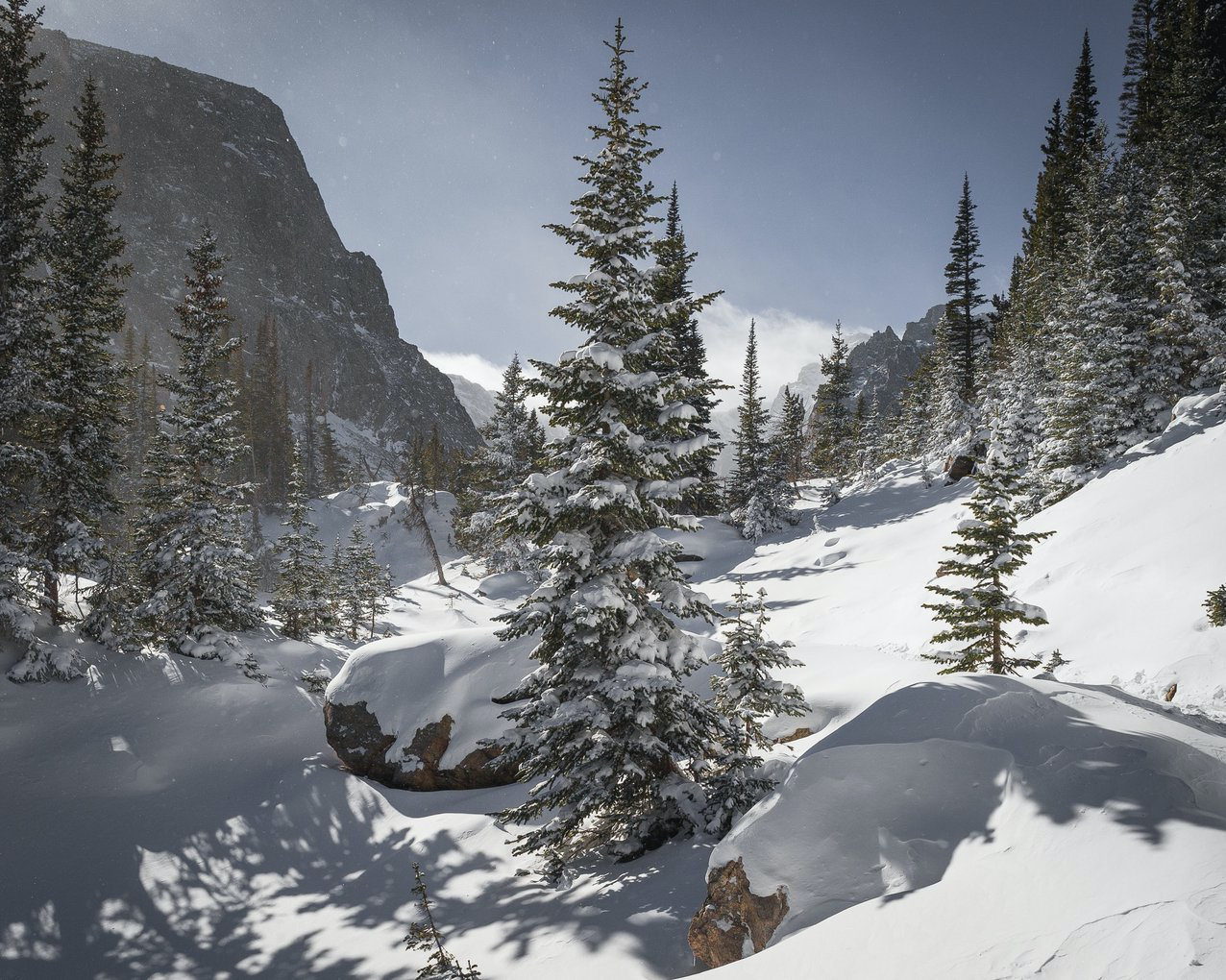 Mountain scenery with blue skies and tall rock face in the background and snow dusted evergreen trees on a field of snow in the foreground.