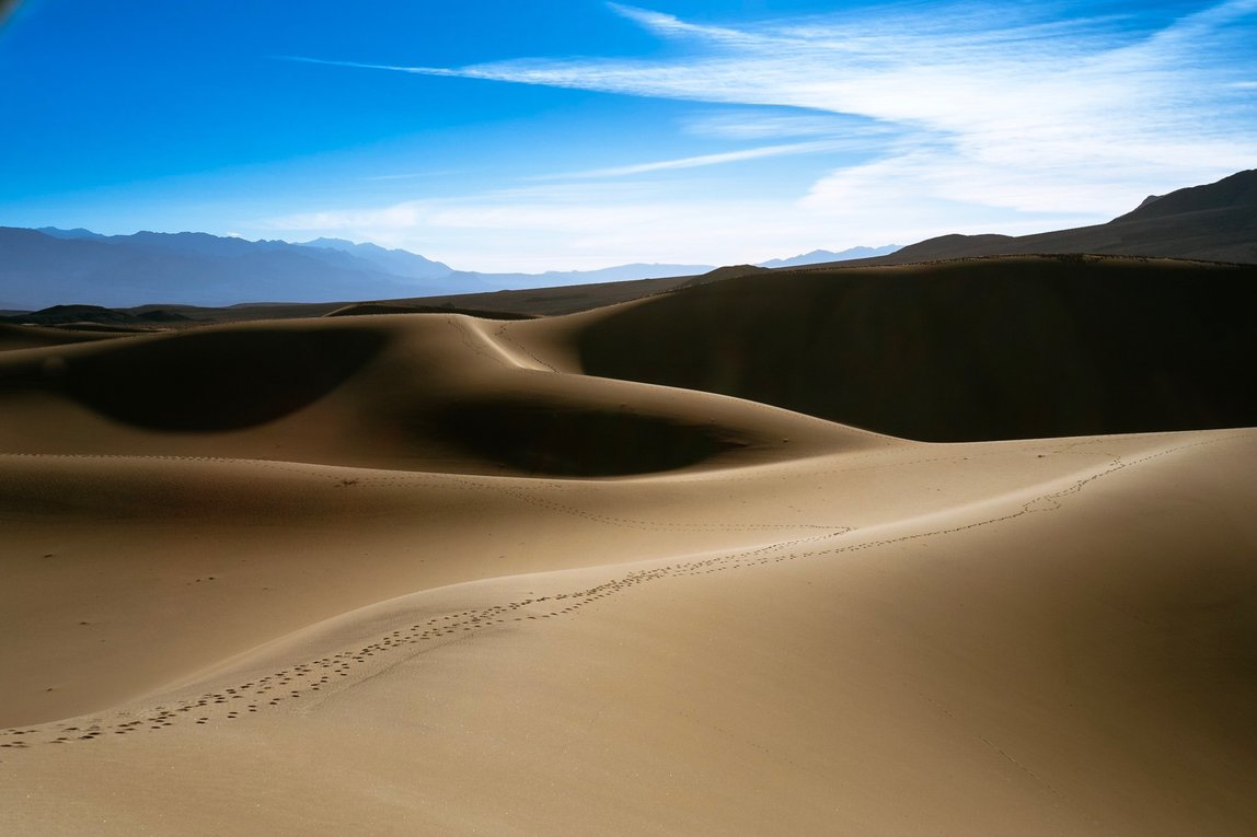 Two sets of footprints cross a sand dune in Death Valley with blue skies overhead. 