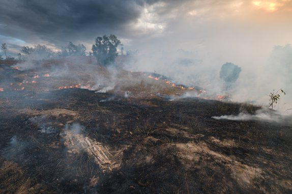 Flames burning grassy, open hillside with widely dispersed, low trees in the distance. There is a dark sky in the background and charred land in the foreground.   