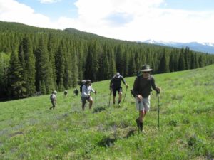 Veteran hikers walking across a mountain meadow