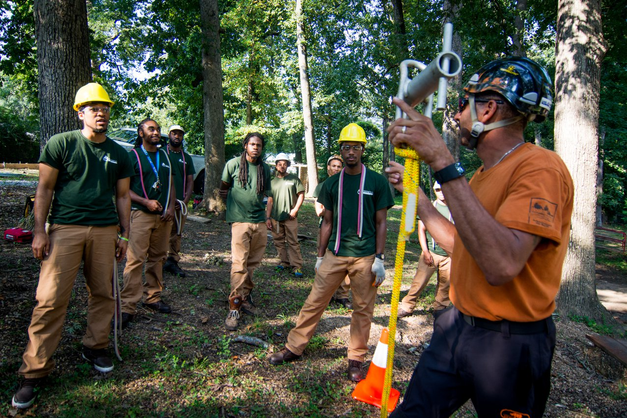 A group of young people work in a forest.