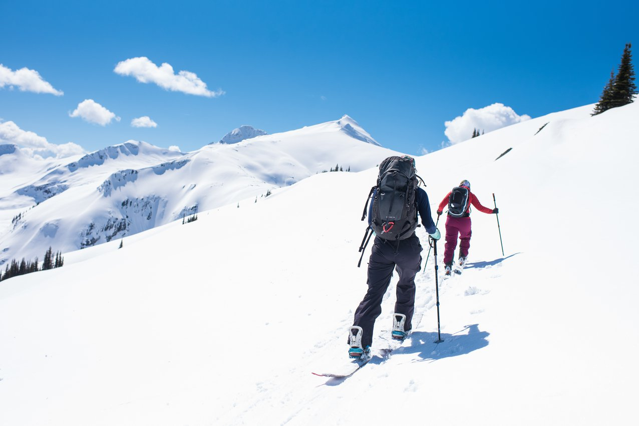 A backcountry skier and splitboarder make their way up a sunny, snowy slope.