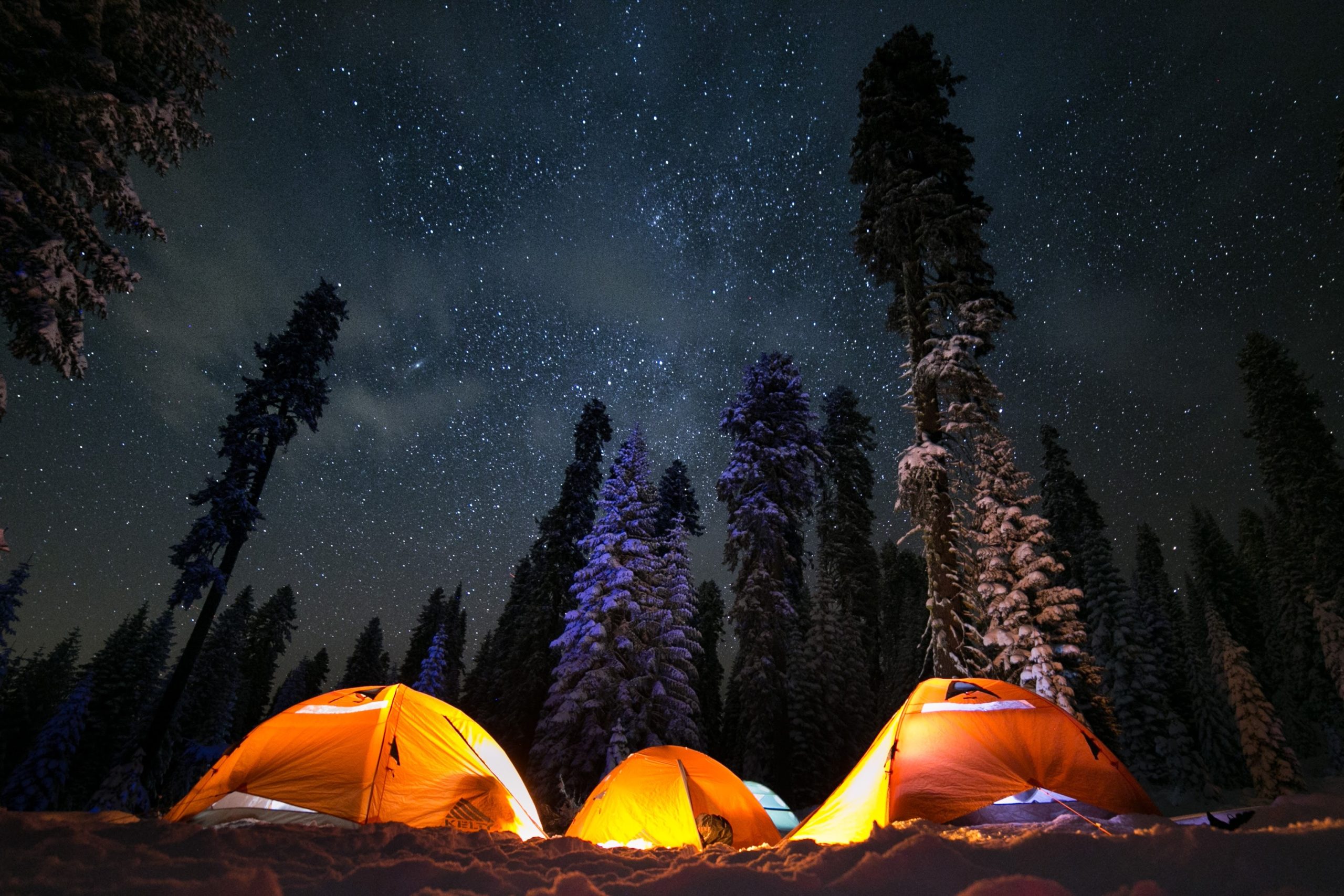 Three tents sit in the snow, surrounded by snow-covered trees and a sky full of stars overhead.