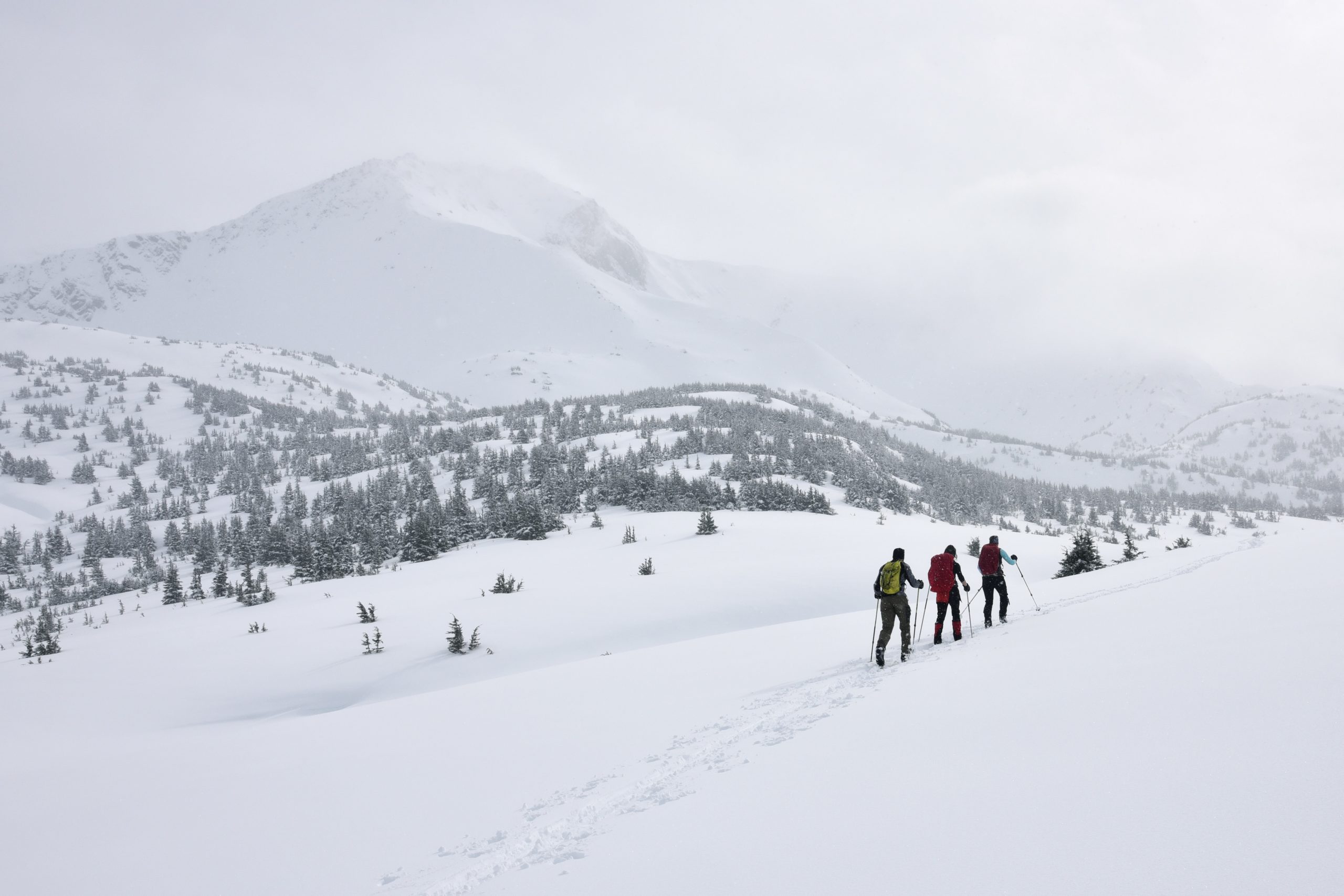 Three backcountry skiers skin up a track on a cloudy winter day. A snowy peak looms in the distance.