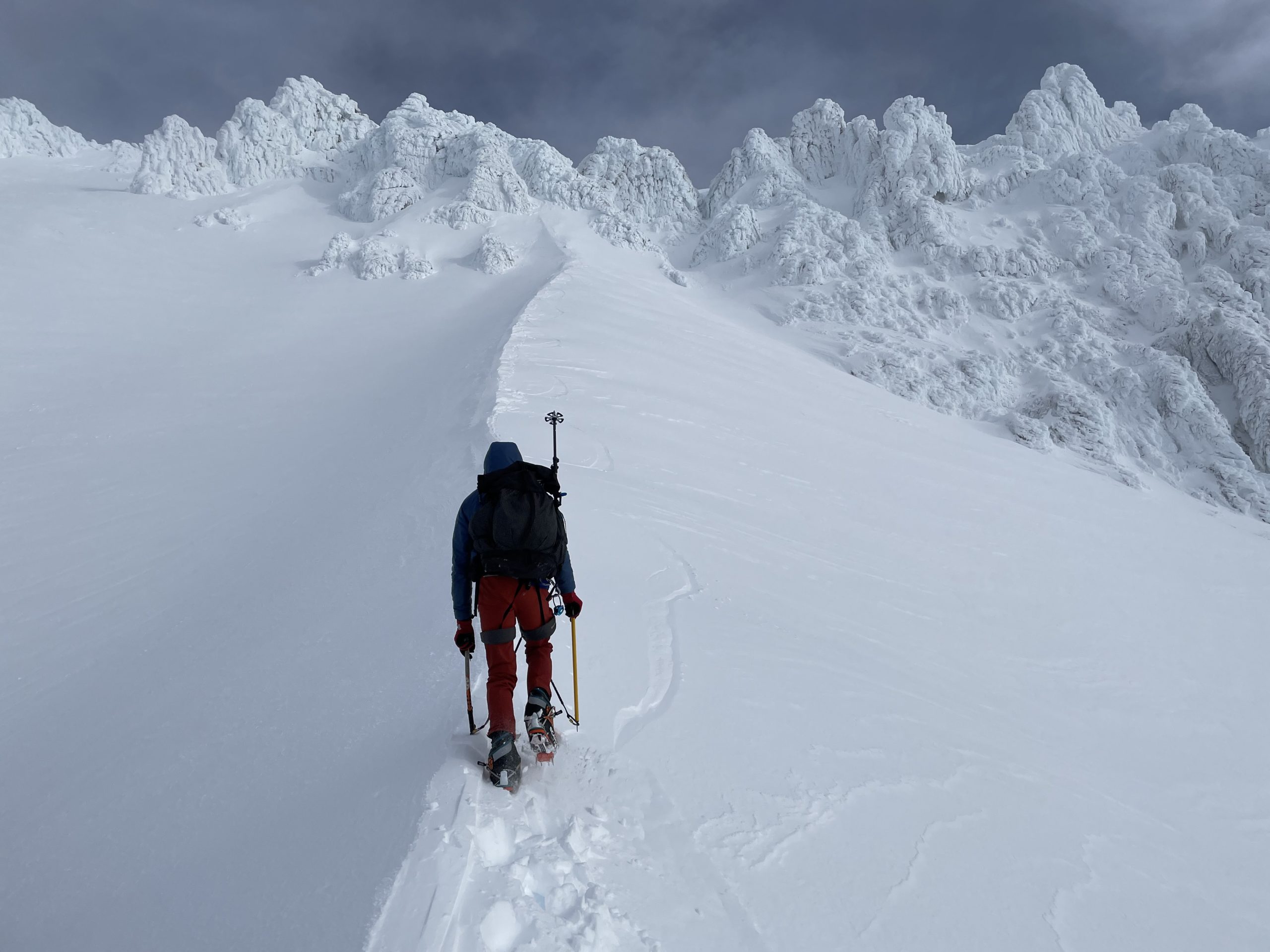 A person walks away from the camera up a snowfield. They are wearing crampons, holding ice axes, and have on a backpack and down coat.