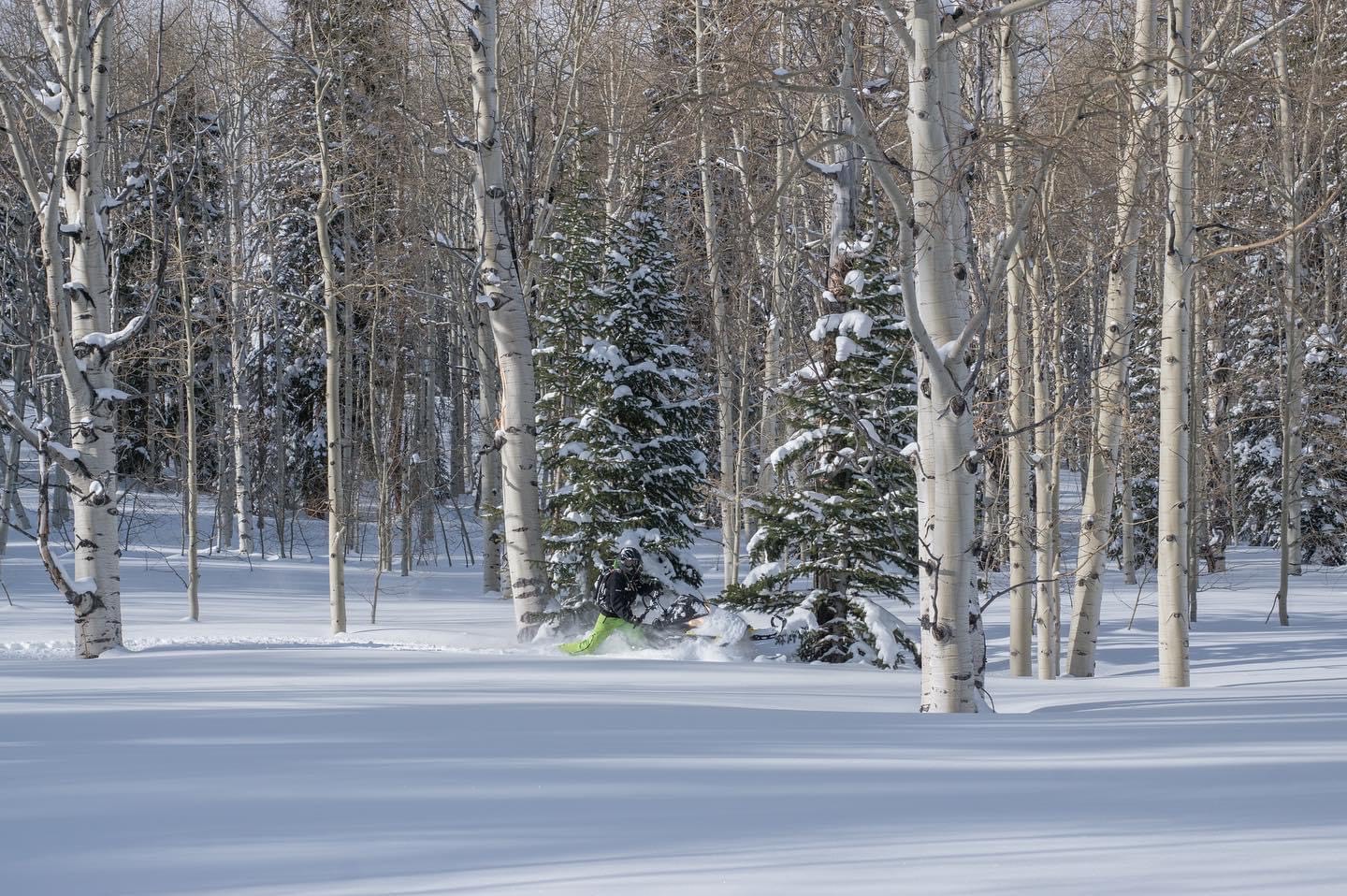 Hockin rides through deep powder.