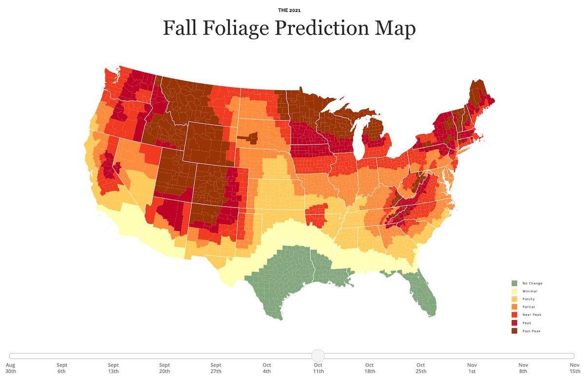 Fall foliage prediction map of the United States